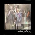 عکس حمید احمدی -موسیقی ایل قشقایی