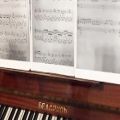عکس آروین نیک گفتار نوازندگی پیانو @دو پنجره@ گوگوش