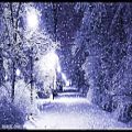 عکس Relaxing Winter Sounds Ambient Winter Night Noises calming sounds snowy frosty sound FX SFX sounds