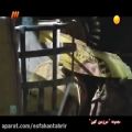 عکس دیالوگ جنجال برانگیز سریال سرزمین کهن ، ساخته کمال تبریزی