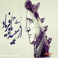 عکس روایتی جذاب از زندگی استاد آواز ایران محمدرضا شجریان