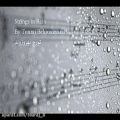 عکس سازهای زهی در باران - آهنگساز : تورج بهروزوند
