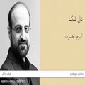 عکس دل تنگ - آلبوم حسرت - محمد اصفهانی