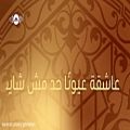 عکس Maher Zain - Muhammad (Pbuh) Waheshna | ماهر زین - محمد (ص) واحشنا | Official Ly