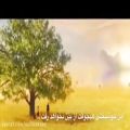 عکس آهنگ آلمانی با زیرنویس فارسی