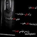 عکس ترانه روزبرفی محمدرضاگلزار ومرتضی پاشایی