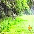 عکس بوسنی هرگوین-ارتش مدافعین، سه موزیک ویدیو