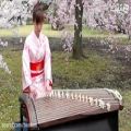 عکس آلت موسیقی ژاپن به اسم کوتو
