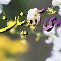 عکس قشقایی