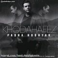 عکس پاشا هوشیار - خداحافظ | Pasha Hoshyar - Khodahafez