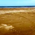 عکس آهنگ التماس ممتد در کنار دریا از امیرتیموری