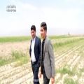عکس موزیک ویدئوی جدید باووجان از محسن و علی بهاری