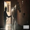 عکس اسب | سوارکاری | نماهنگ