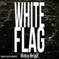 عکس Bishop Briggs - White Flag (Audio)