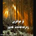 عکس how did you know by kurdish translation