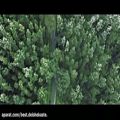 عکس مویک ویدیو جدید و زیبای علی یخکشی به نام هوای دل-720p