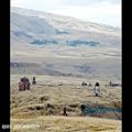 عکس نرسیک ایسپیریان - سرزمین ارمنی