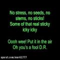 عکس Dr. Dre feat. Snoop Dogg - Still Dre (Lyrics)