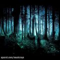 عکس Frederic Chopin - Mysterious Forest