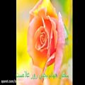 عکس Ogle - Hafez - Music: Jamshid Vahadi - نظر باز- حافظ - موسیقی جمشید وحادی
