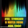 عکس Aysel Teymurzadeh Ft Dj MorTeza Chizari Remix Tonight