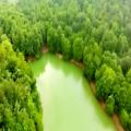 عکس ویدیو کلیپ بسیار زیبا از دریاچه چورت مازندران و آوای دلنشین دکتر روشنک فرید