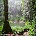 عکس جنگل+ باران + آبشار