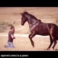 عکس موزیک ویدئو بسیار زیبا از امین رستمی با رقص زیبای اسب