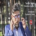 عکس آهنگ ترکی جدید Terlan Sadiq
