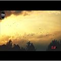 عکس Various Artists - Top 5 Persian Music Videos Vol. 12 ( بهترین موزیک ویدیوهای ایر