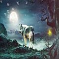 عکس موزیک آرامبخش - گرگ و ماه epic music _the wolf and the moon