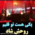 عکس اجرای زنده محسن یگانه و مرتضی پاشایی