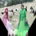 عکس آهنگ لری شاد ستاره آی ستاره