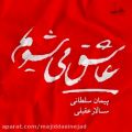 عکس آهنگ سالار عقیلی به نام ساز و آواز - بیات اصفهان