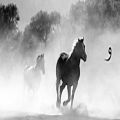 عکس غلامعلی کویتی پور - اسم اعظم