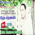 عکس Elcin Agcabedili - Men Unutmaq istedim 2018 (Official Audio)
