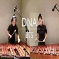 عکس آهنگ دی ان ای با ساز کوبه ای ماریمبا (DNA-Marimba)