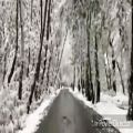 عکس کلیپ زیبای جاده برفی میکس شده با صدای محمدجواددرجزی