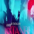 عکس اولین کنسرت امیرتتلو در استانبول |Amir Tataloo Concert