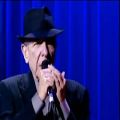 عکس Leonard Cohen - Everybody Knows