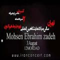 عکس کنسرت محسن ابراهیم زاده ۱۲ مرداد در تهران دونه دونه
