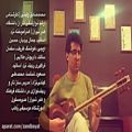 عکس آموزشگاه موسیقی رهاب شیراز-محمدصادق ولیئی-نوازنده تار