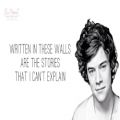 عکس One Direction-Story of My Life (Lyrics)