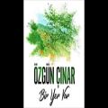عکس Özgün Çınar - Bir Yer Var (Official Audio)