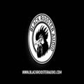 عکس Black Rooster Audio // Edelweiss`72 Introduction
