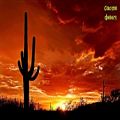 عکس Wild Western Music - Cactus Desert