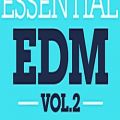 عکس EDM Samples - Loopmasters Essential EDM Vol 2
