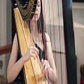عکس J.S. Bach - Toccata and Fugue in D Minor BWV 565 // Amy Turk, Harp
