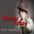 عکس مرتضى پاشایی - حس شاعری | Morteza Pashaei - Hese Shaiery