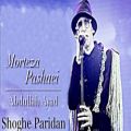 عکس مرتضى پاشایی ” شوق پریدن “ اهنگ قدیمى | Morteza Pashaei Shoghe Paridan